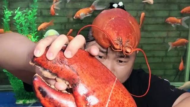 这个钳子不肥