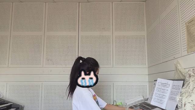一个弹双排键的猪包