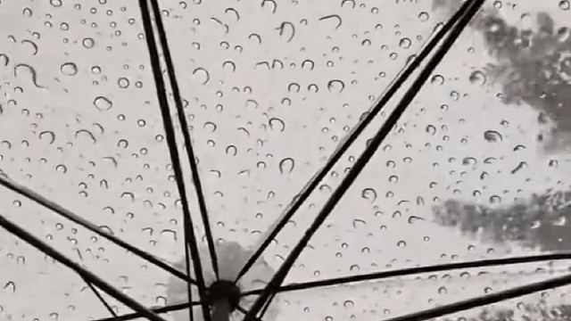 陪我淋一场冬雨吗？