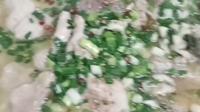 官厅老五家钓鲢鳙