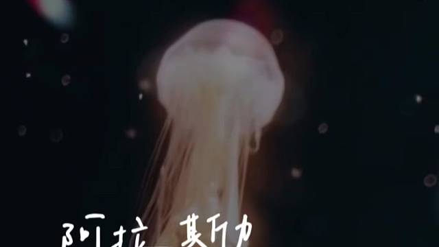 来个人和我玩怎么了怎么了怎么了