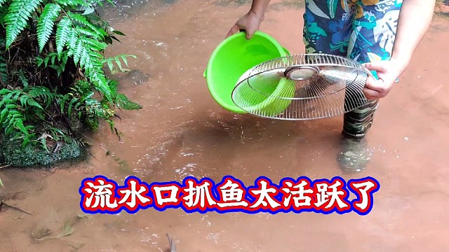 户外抓鱼