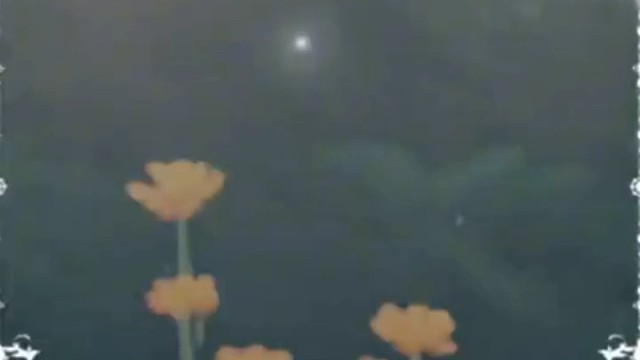汐汐的歌单