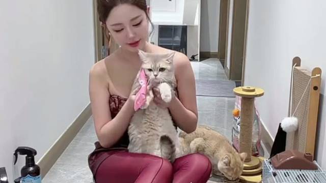 这么好的都谁在吃