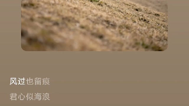 浪海留痕