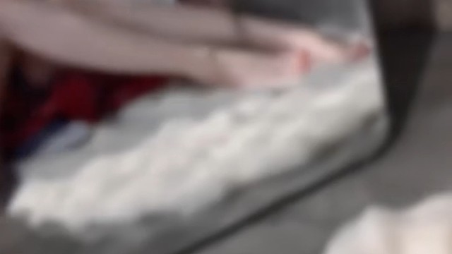 太美了