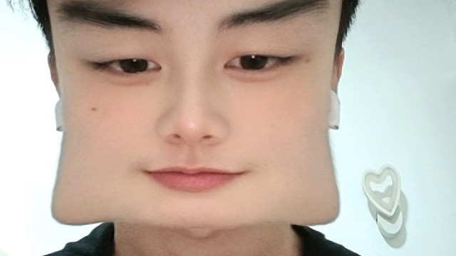 是呢是呢，只是个胖子