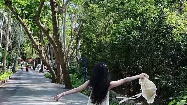 落在生命里的风和光都是好天气