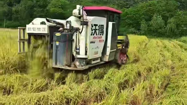 粮食生产