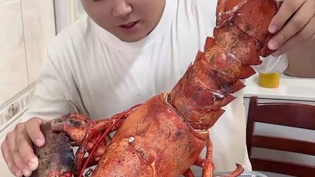 18斤大龙虾