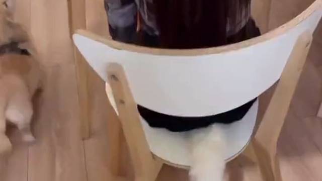 有个小尾巴