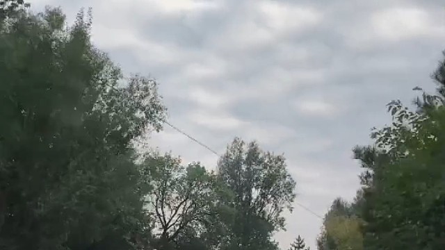 自己整的