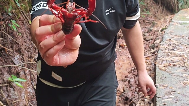户外抓鱼摸虾