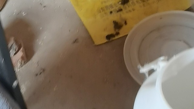 家里情况