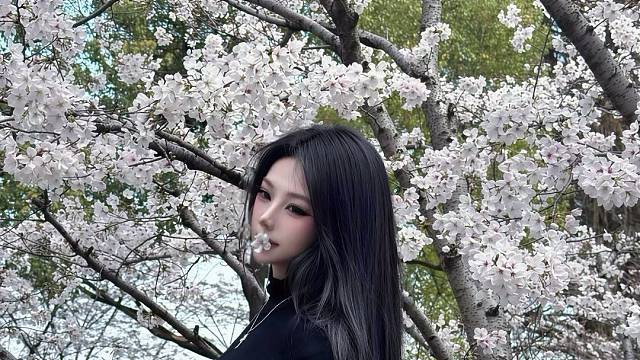 想和你一起看樱花