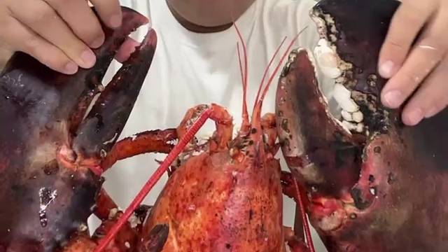 吃个大鸡排