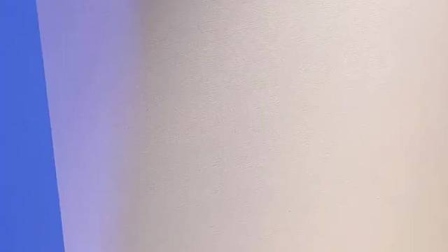 照杀