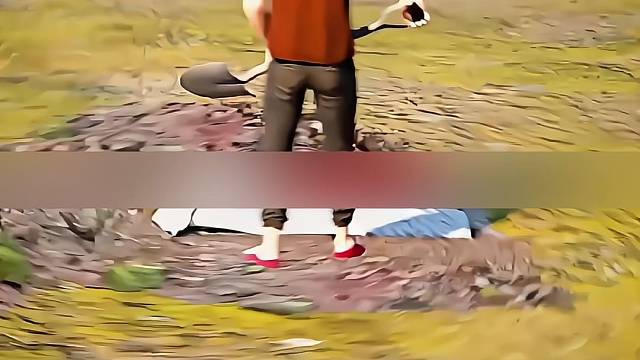 男子种花复刻亡妻的婚纱