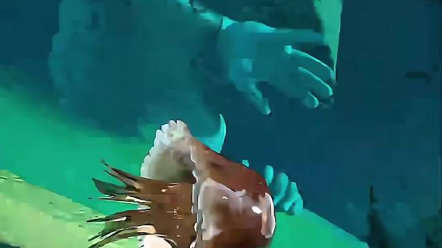 三十卡的超低卡海鲜面