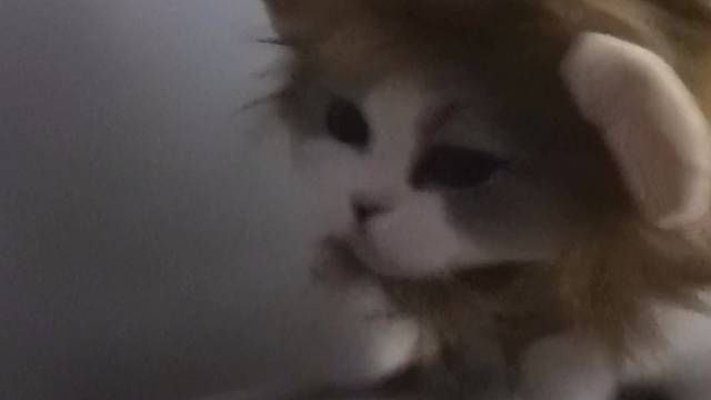 请假