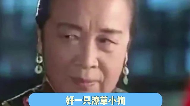 它像是在翻炒自己的假牙 #狗狗 #萌宠出道计划 #戏精狗狗的诞生