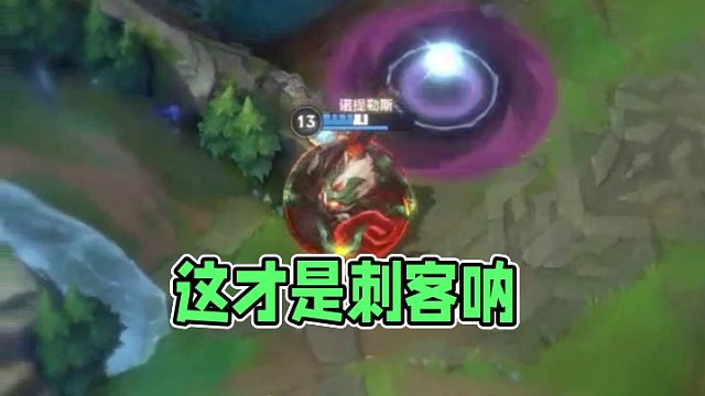 这才是刺客呐#英雄联盟#