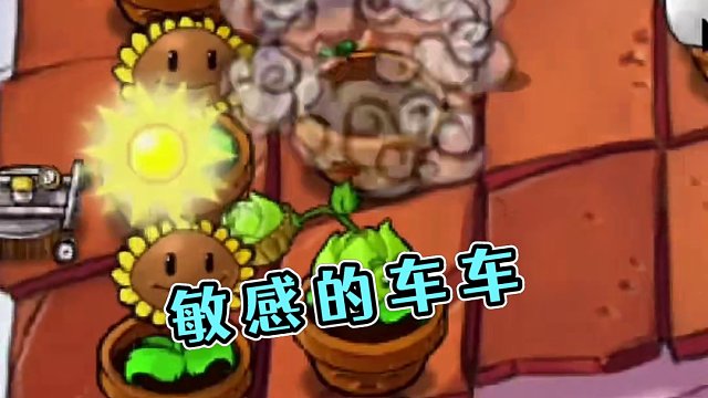 敏 感 的 车 车#植物大战僵尸