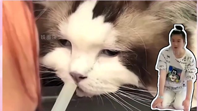 原来爱的力量真的可以创造奇迹#娱乐评论大赏 #爱的力量 #奇迹 #破防 #泪目 