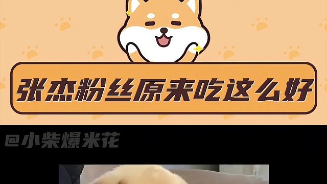 张杰一个人硬刚所有卫视~