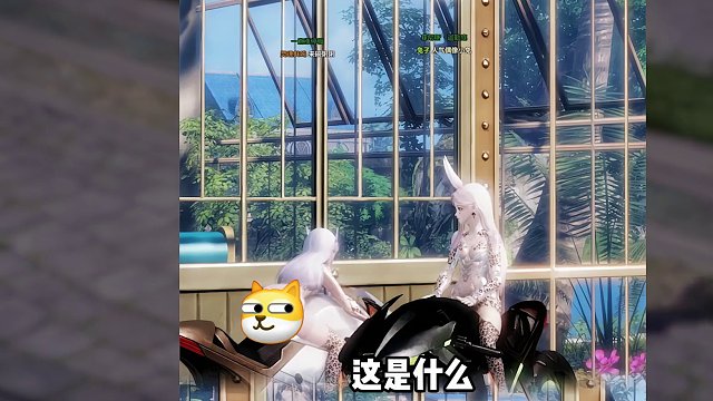 命运方舟终于知道我为什么染不出好看时装了