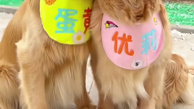 照片来喽…记录会让生活变得更丰富多彩！