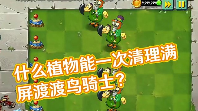 什么植物能一次清理满屏渡渡鸟骑士？鸡哥这次不给力！ #植物大战僵尸 #植物大战僵尸 #pvz #pv