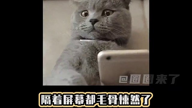 真的有点恐怖！绝望都溢出屏幕了#电梯夹层