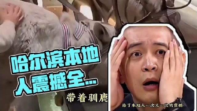 #哈尔滨一次次震撼本地人 尔滨，这么玩是吧！这可真是本地人都没见过的阵仗啊！#哈尔滨 #娱乐超有料 