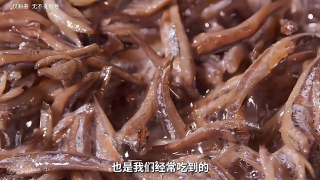 这些小鱼最终的归宿还是没有逃过人类的餐桌#香辣小鱼仔 #制作过程 #小鱼仔 #科普 #劲仔小鱼