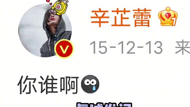 辛芷蕾的精神状态太超前了 好喜欢蕾姐的精神状态，有种快乐发疯的感觉。#辛芷蕾 #繁花