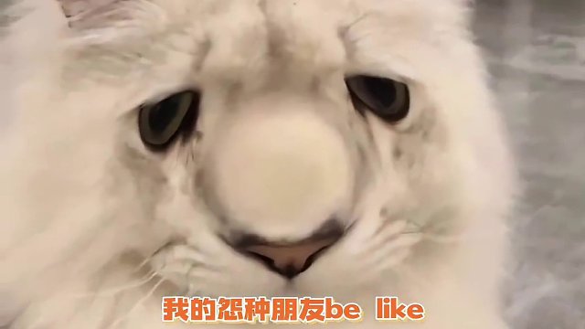 属实是演我了，我能笑趴在地上！