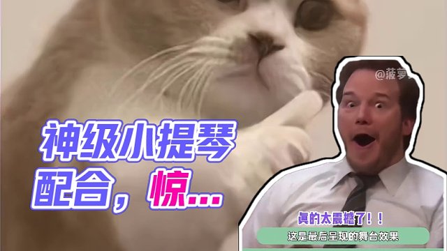 这是什么神级配合啊！#娱乐评论大赏  #观众 #震撼 #神级现场 #小提琴