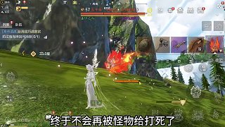 終于可以做測試了！ 14W戰(zhàn)力祝融火 VS 旗子四寵物 誰的輸出高#妄想山海 #新神兵 #祝融火 #