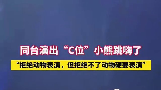 熊熊们和演员同台表演，c位小熊跳嗨了！#动物的迷惑行为 #动物成精系列