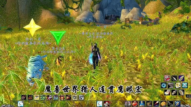 #魔兽世界怀旧服 猎人宏命令之连贯鹰眼宏，用途及制作方法分享  #游戏解说
