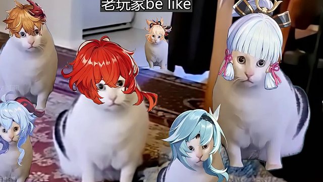 目前枫丹的部分老玩家be like #原神枫丹 #原神 #原神的日常