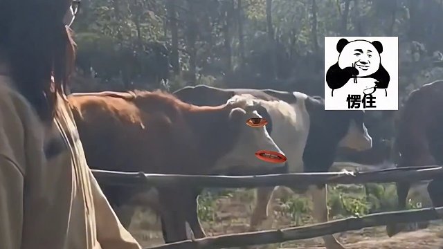 牛:你清高，这下你满意了？#搞笑 #搞笑配音 #看一遍笑一遍笑得肚子疼 