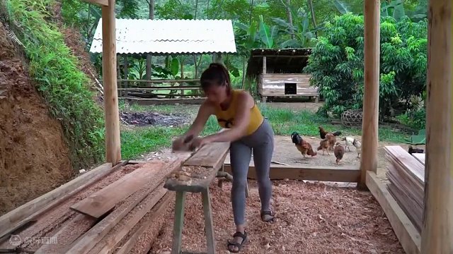 晓丽田园：搭建房屋木墙 #荒野建造 #野外建造 #田园生活