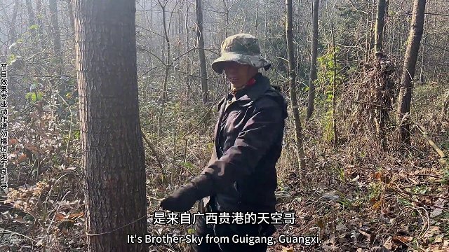 神秘粉丝，开启赛季新玩法。