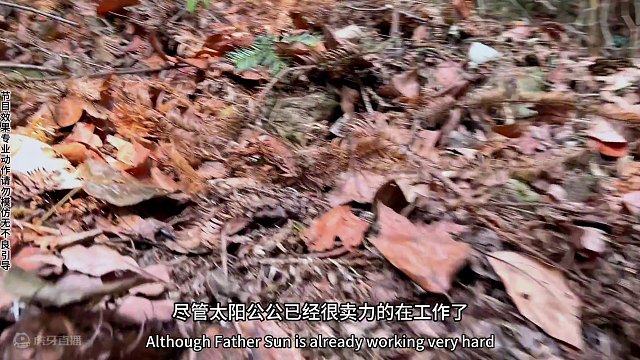 杨冬出门旅游，天空哥做了一天手工。@老六荒野(雷老六) @老六荒野（杨员外） @盲盒求生（老六荒野）