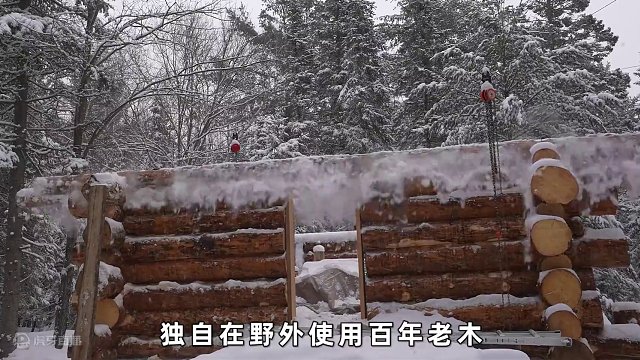 肖恩不但完善好木屋，还狩猎到一头鹿，实现食物自由#野外生活 #木屋建造 #野外建造