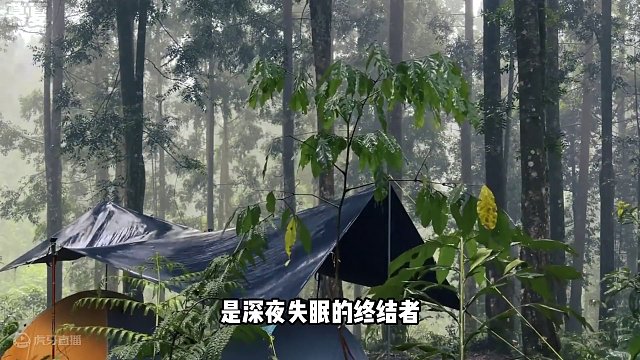 谁能拒绝在睡前看上一集超解压的沉浸式 #雨天露营  呢？