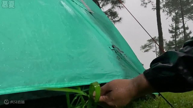 谁能拒绝在睡前看上一集超解压的沉浸式 #雨天露营  呢？