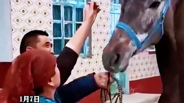 马儿比赛前主人会在马的头上点牛奶，寓意是马儿顺利奔跑拿冠军 #马儿 #传统习俗（编辑：哈力玛）